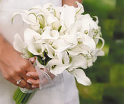 Bride Holding a Bouquet