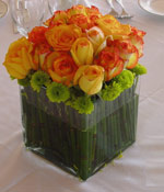 Square Centerpiece