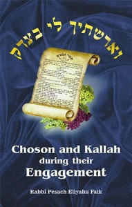 Choson and Kallah during their Engagement - book cover